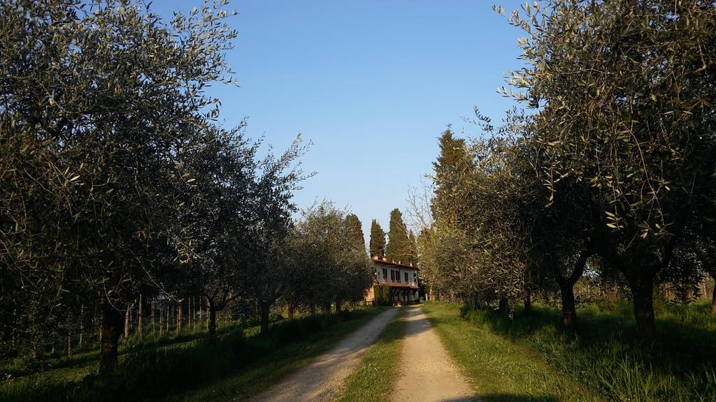 Artenatura Beb Terranuova Bracciolini Exterior photo